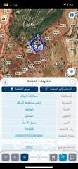  8 ارض زراعيه للبيع في اجمل مناطق العالوك