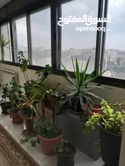  4 شقة مفروشة للبيع في رام الله