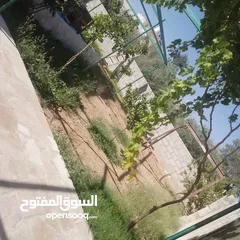  9 منزل للبيع قصر حلابات غربي قرب مصانع طيبه