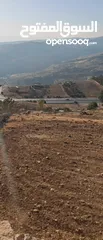  21 ارض زاعي سكني فلل