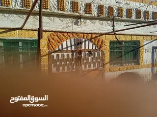  3 بيت للبيع عليه أرض دونمين مشجرات من كل شيء كاش 27 او دفعه 15 قسط شهري 150