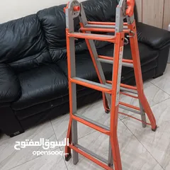  1 EXTENDIBLE AND FOLDABLE LADDER