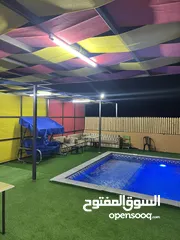  2 مزرعة الغانم مازارع الغانم مزرعه وشاليه الغانم وشالية الغنم بيرين الزرقاء مزرعه جديده 2025 مسبح مضلل