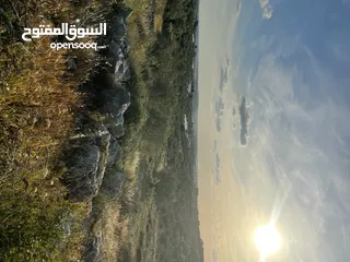  6 ارض مميزة. للبيع