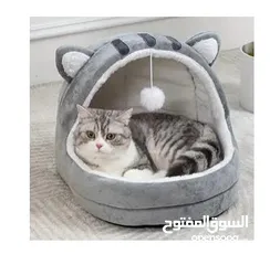  1 اغراض قطة للبيع غير مستخدمة cat accessories for sale