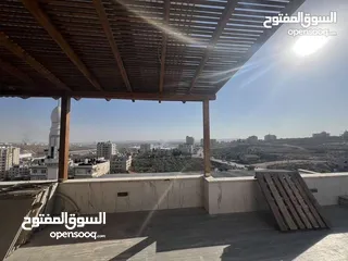  19 روف للبيع في رفات المصيون
