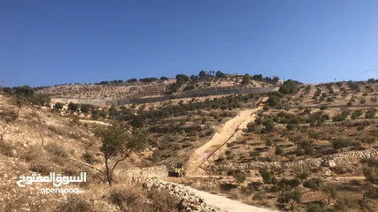 3 ارض للبيع في السلط
