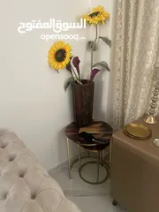  23 عفش بيت فاخر للبيع (برادي ، كنب، طاولات، مغسلة )