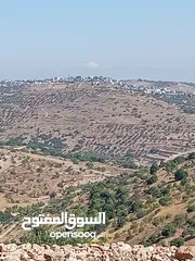  12 مزرعه للبيع في جرش سوف منطقه الظهره الشماليه