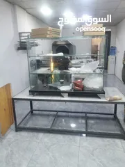  1 عدة مطعم معجنات فتاحة براشة موزريلا مبرشة طاولة مقلى بطاطا ثلاجة فترينه عرض معجنات كولار فريزر