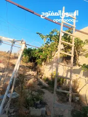  12 بيت مستقل تقريبا مزرعه مشيكه كامله مزروعع عنب وحمضيات مساحه البناء 160م وغرفه خارجيه 40م الواقع احلا