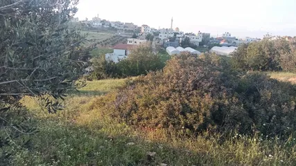  3 عقار للبيع