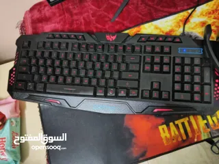  6 BCمع كامل اغراضه