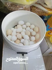  14 منتجات بلديه مكفوله مميزه