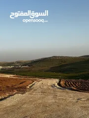  1 للبيع قطع مفروزة طريق الزرقاء اربد منطقة بلعما واصل خدمات