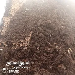  6 متوفر لدينا دود الكمبوست نوع ريد ويجلر سماد الفيرمي كمبوست متوفر لدينا سماد الفيرمي كمبوست