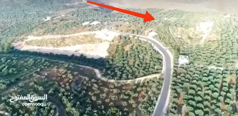  5 ارض للبيع فى عصيرة الشمالية، طابو نابلس، كوشان مستقل لخمسة اسخاص، كل شخص يضع سنسال على حصته