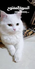  2 صلي ع النبي