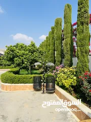  6 مزرعه الريان عمان منطقة ناعور تبعد 15 دقيقه عن الدوار السابع