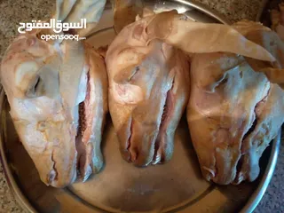  6 كرشات وفوارغ على كيفك كيفك