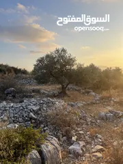  6 ارض للبيع مميزة مطله وبسعر مميز جدا