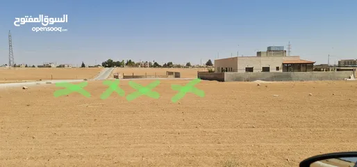  2 قطعة أرض سكني مميزة (    1209متر).