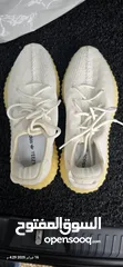  13 shoes Adidas Yeezy original 43وثلث الابيض اصلي والرمادي قياس 44 كوبي  بحاله ممتازه كانه جديد .