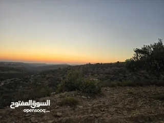  3 ارض لقطه بمساحه 500 متر ع شارعين 10 متر