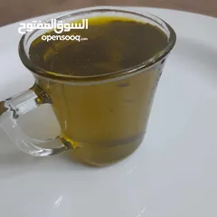  1 زيت زيتون  من مزرعتنا في  عجلون للبيع