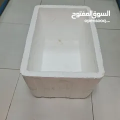  2 styrofoam box