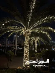  6 كهربائي جميع مناطق الكويت