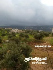  31 لقطه مزرعه مع بيت ريفي 48 الف قابل للتفاوض منطقه ريف جرش