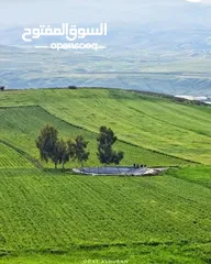  19 باصات حديثه للتوصيل 10 مقاعد مع السائق فقط توصيل لجميع انحاء المملكة  مطار الملكه علياء الجسر الملك