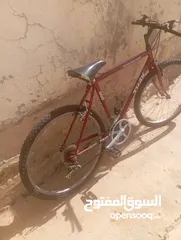  5 بسكليت. TREK
