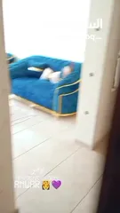  2 شقة مشطبة ديلوكس