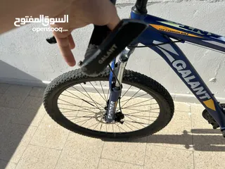  1 بسكليت كلانت وارد امريكا جنط 29جبلي