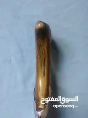  2 جنبيه عزيري عررررررطه بداية النضج على الطلب