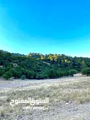  11 ڤيلا بوليڤارد دبين boulevard dibeen  مع اطلالة ساحرة على غابات دبين
