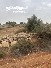  1 قطعة ارض منطقة نادرة - ام رمانة شرق جرش موقع هادئ وجميل جدا