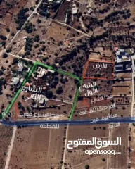  3 ارض للبيع في الأردن - عجلون