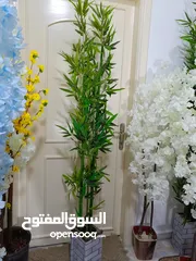  12 أشجار صناعي بجذع طبيعي شامل القوار