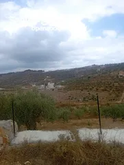 2 ارض بناء  اول كوبر  و داخل حدود البلدية