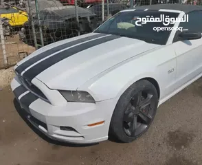  1 موستنغ كشف البيع كاش فقط