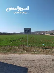  1 ارض للبيع في ام البساتين