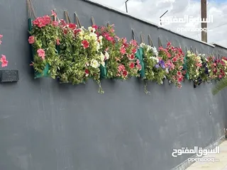  2 زراعة اشجار زينه ومثمره
