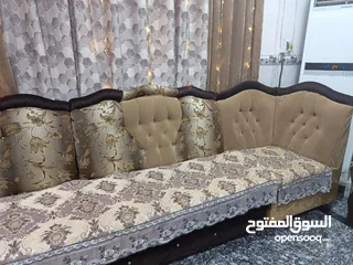  3 تخم قنفات 8 قطع