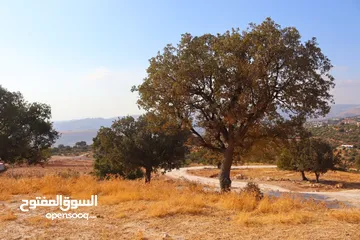  12 أرض للبيع في أرقى احياء المملكة بدر الجديدة ذات اطلاله