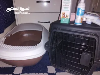  1 مستلزمات قطط مستعمل شهر فقط بعض الاشياء غير مستعمله مثل المشط والسبراي وبوكس النقل استعمال واحد فقط