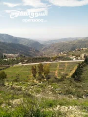  1 اراضي مميزة للبيع في عمان - ناعور - عيون الجاموس