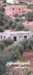  7 بيت مستقل في بدر الجديده زبدا